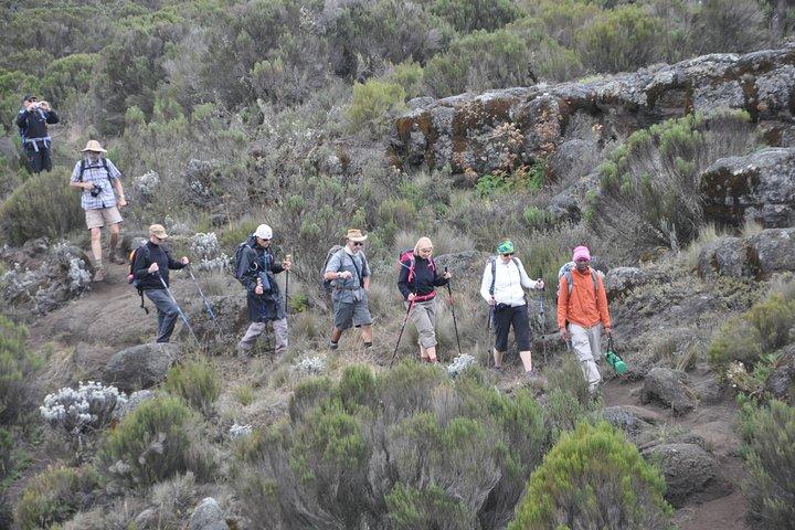 9 Days Mount Kilimanjaro Climb Machame Route