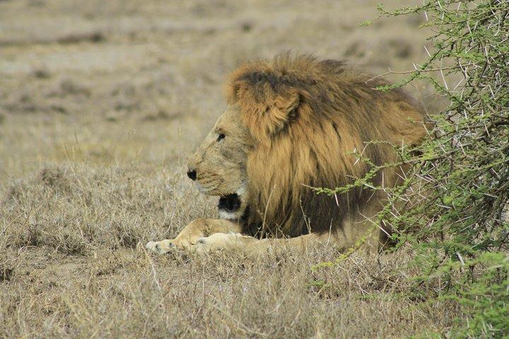 8 Days 7 Nights Private Lodge Safari