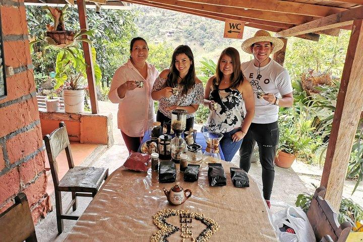 Private Coffee Farm Tour in Medellin: Real Authentic Experience