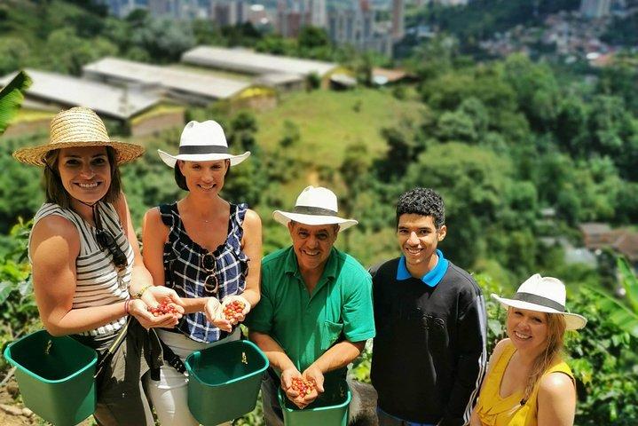 Private Coffee Farm Tour in Medellin: Real Authentic Experience