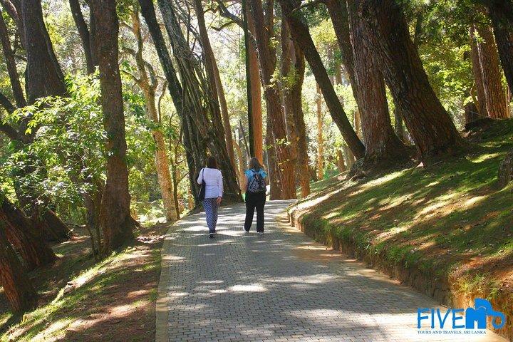 Cultural and Wildlife Expedition – 10 Days