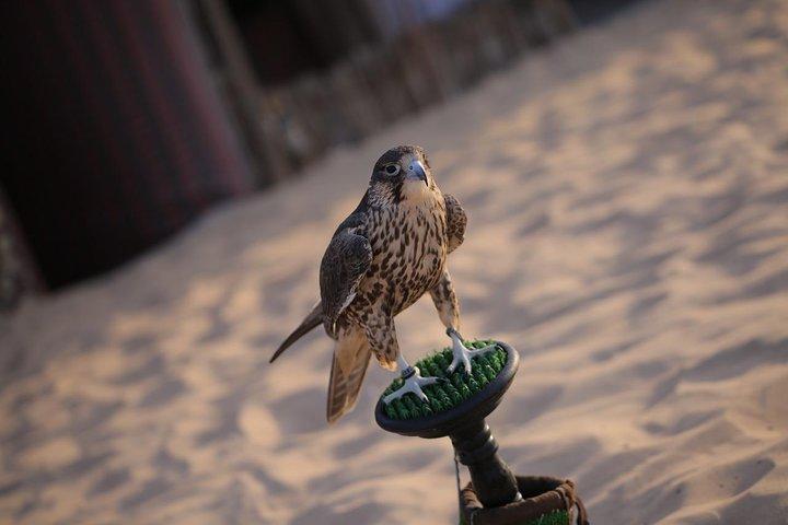 Abu Dhabi Desert Safari (Dune Bashing, BBQ Dinner, Camel Ride & Sand Skii)