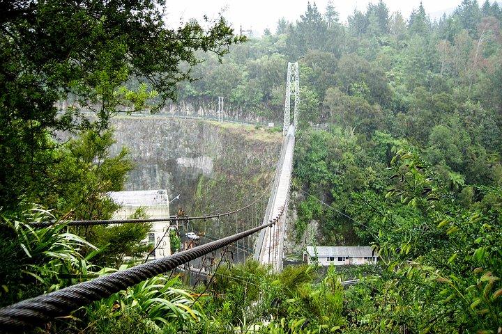 Rotorua and Waitomo