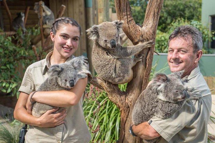 Wildlife, Wine & Waves – Epic South Coast Adventure from Sydney