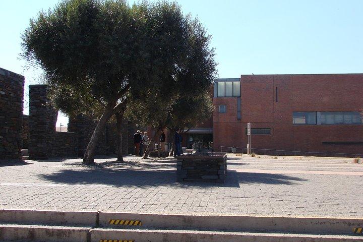 Soweto & Johannesburg And Apartheid Museum Private