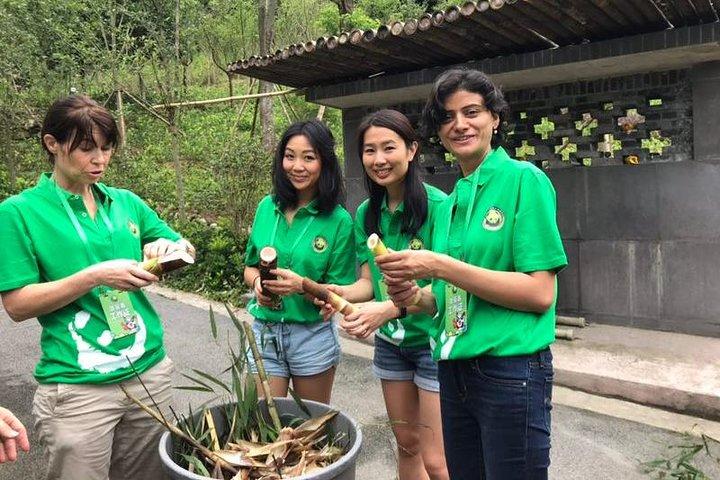 Private Dujiangyan Panda Base Panda Rescue Center Volunteer for a Day