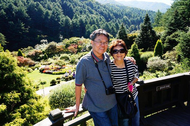 Nami Island from Seoul: Petit France and Garden of Morning Calm