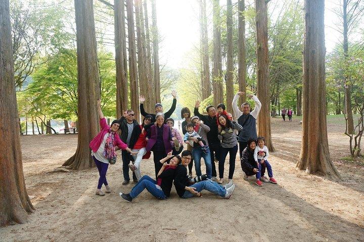 Nami Island from Seoul: Petit France and Garden of Morning Calm