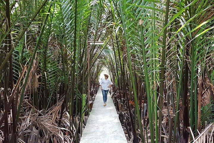 Halfday Join Tour Bangkok Countryside & Bird Watching Experience with Lunch