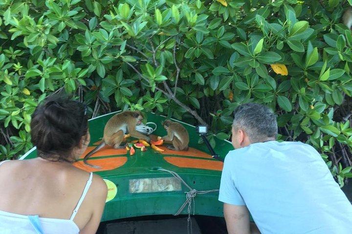 8-Day Nature & Adventure - Tour with Private Chauffeur