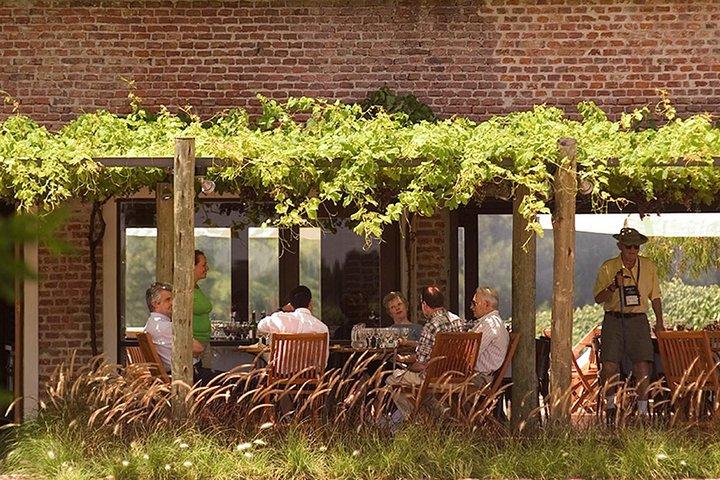 Bouza Winery Tastings and Tapas (Esp, Eng, Port)