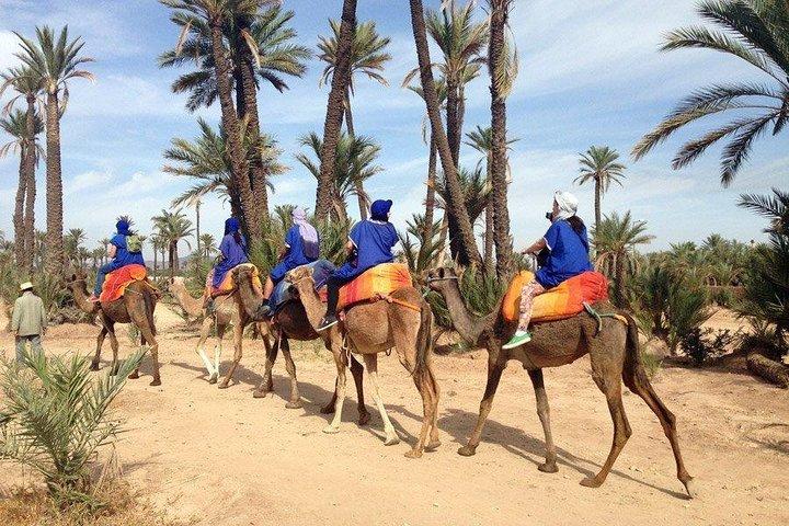 Camel and Quad in Marrakech