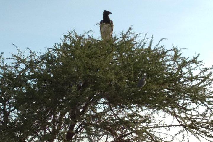 9 Days 8 Nights Safari