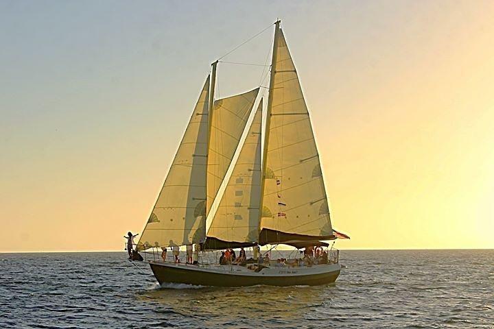 Sunset Sailing Cruise Aboard Schooner Clearwater-Clearwater Beach