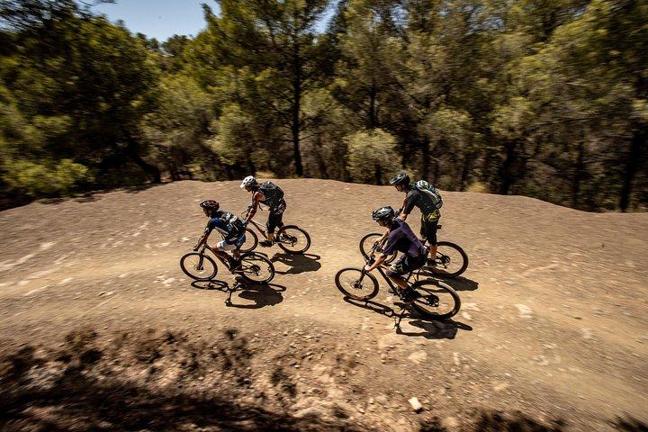 Malaga E-MTB Tour: Botanical Garden, Natural Park and Port of Malaga