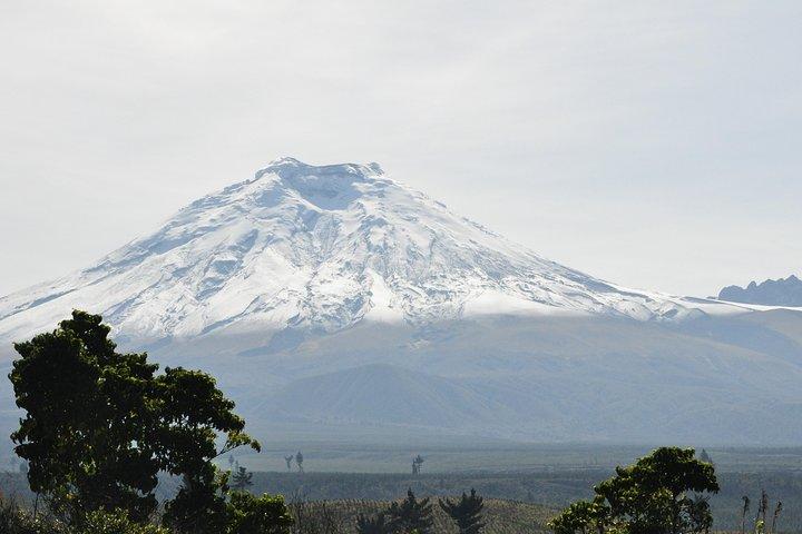 Cotopaxi Full Day Tour - All included - Guided hike and National Park entrance