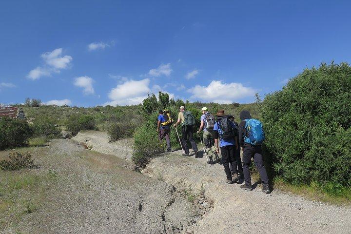 Half Day Trek To Volcan Misti