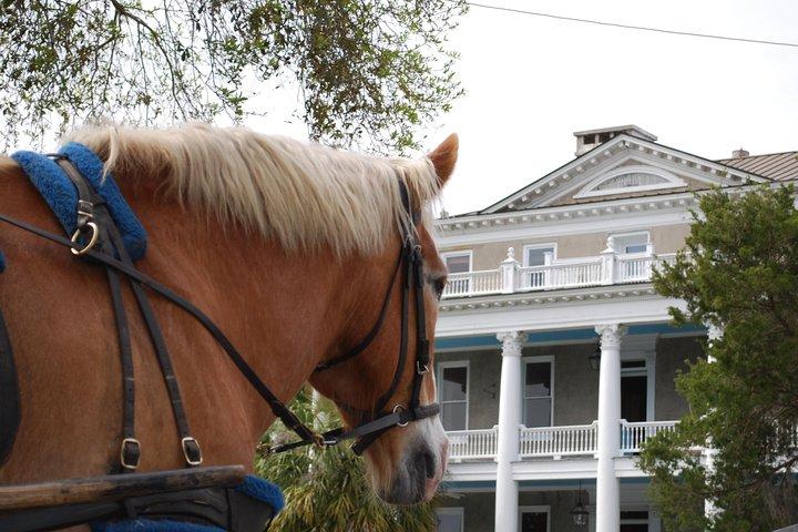 #1 Historical Horse Drawn Carriage Tour
