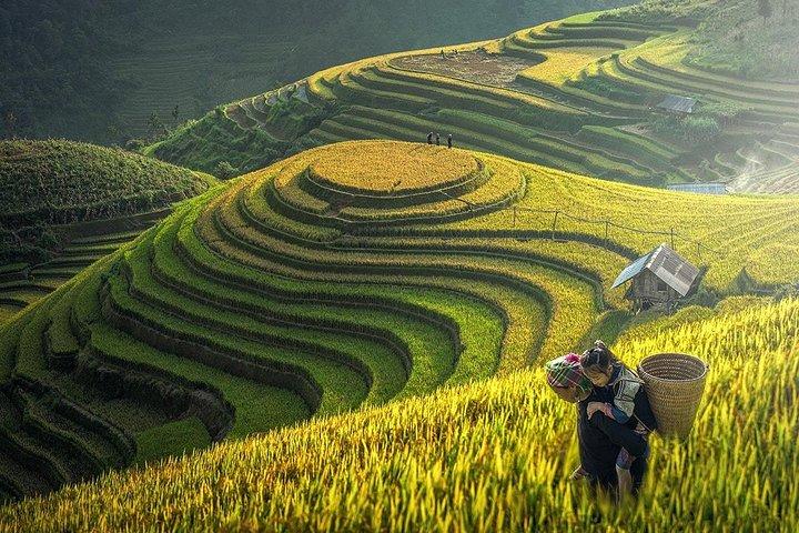 Sapa package tour 2 days 1 night from Ha Noi