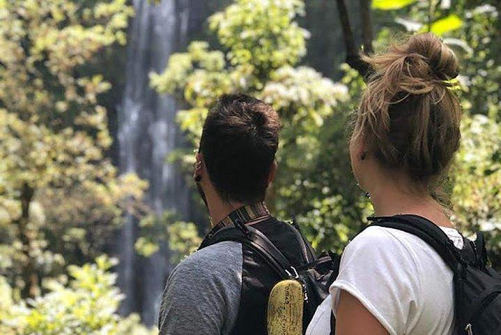 Waterfall & Coffee Walking Tour