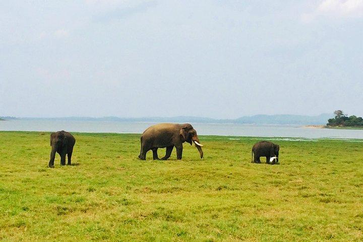 10 Day Explore Sri Lanka