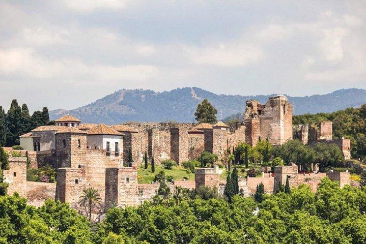 Private Malaga: Alcazaba, Museum, Market, Cathedral & Picasso