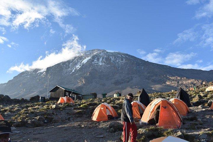8 Days Mount Kilimanjaro Northern Circuit