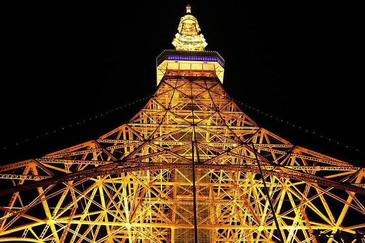 Tokyo City Night View Tour with Native Japanese Driver