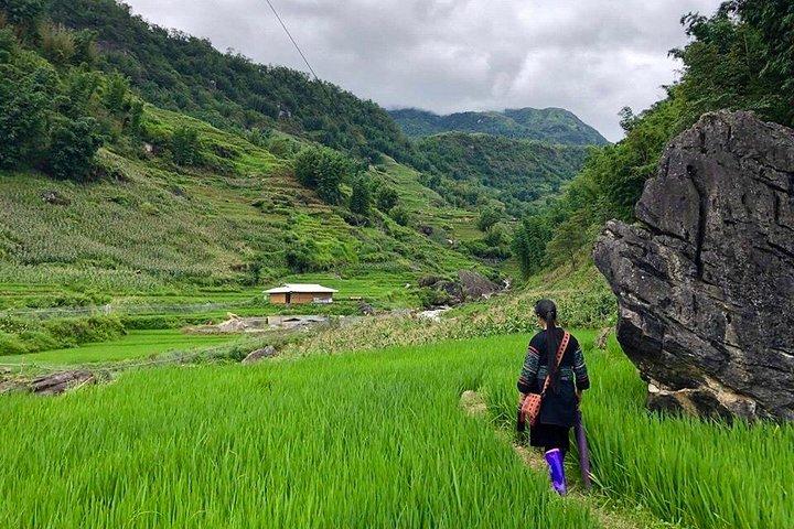 Number one top rated ethical cultural trekking and homestay by ETHOS