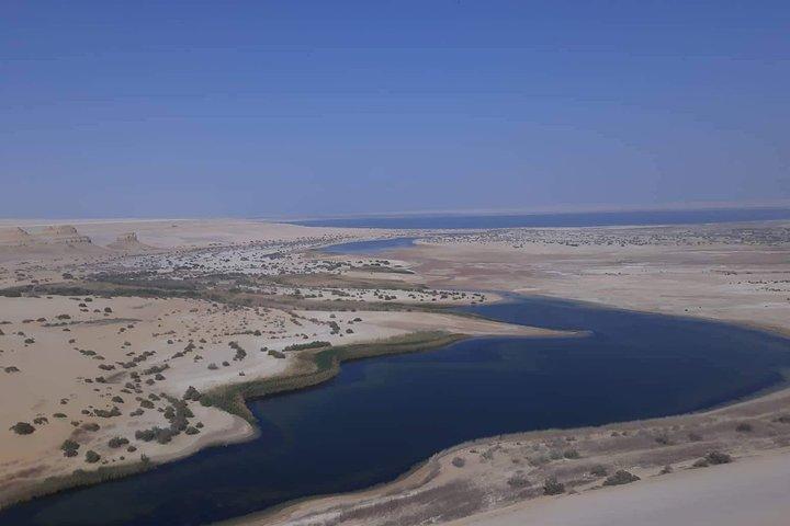 over day safari trip to whales valley fayoum oasis