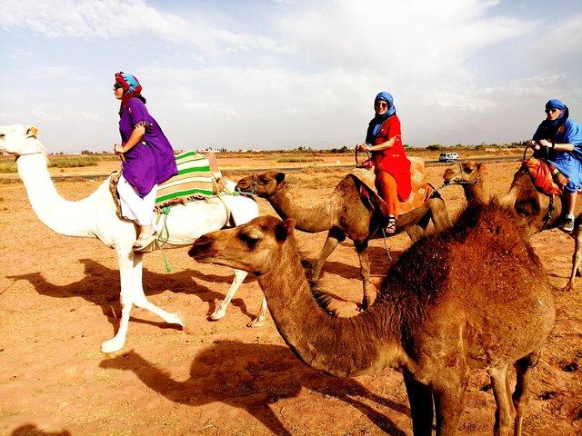 5 Valleys Atlas mountains day trip from Marrakech with camel ride