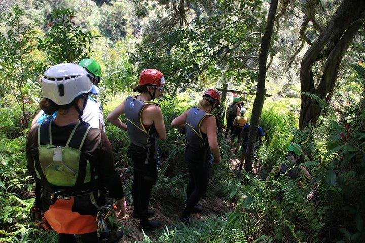 Rappel Maui Waterfalls and Rainforest Cliffs