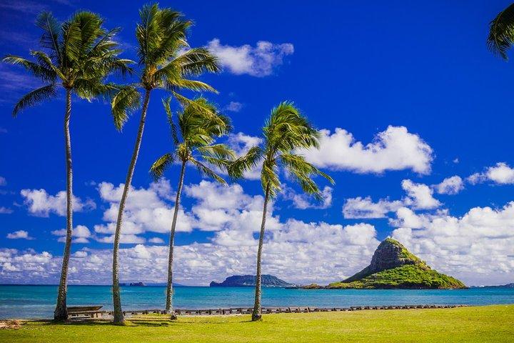 Oahu Majestic Circle Island Tour with Waimea Falls and Byodo Inn