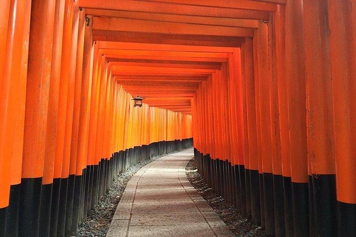 Private Noah Hire in Osaka city with English Speaking Driver