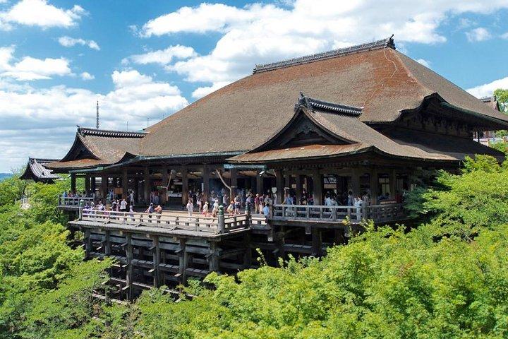 Private Noah Hire in Osaka city with English Speaking Driver