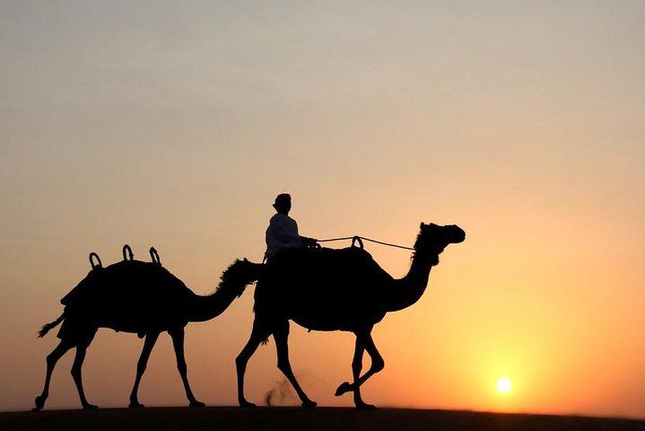 Dubai Premium Desert Safari: Dune Bashing,Camel Ride,Shows & BBQ