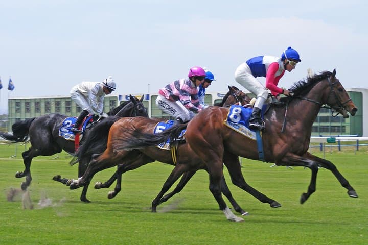 Kenilworth Raceday Tour
