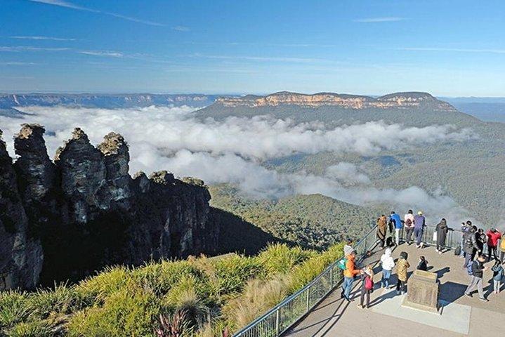 Blue Mountains | Koalas, Kangaroos & Bondi Beach Private Tour