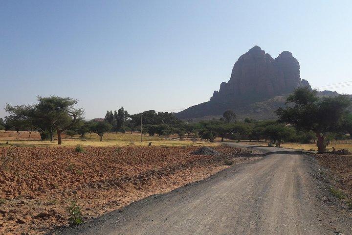 2 days Tigray Church( not avaliable)