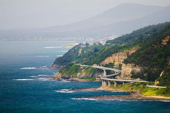 Wildlife, Wine & Waves – Epic South Coast Adventure from Sydney