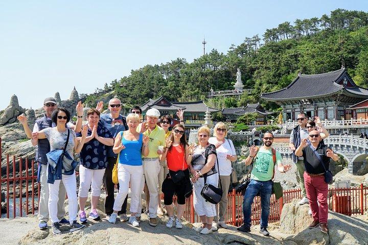 Full Day Private Busan Highlight Tour with Licensed Guide