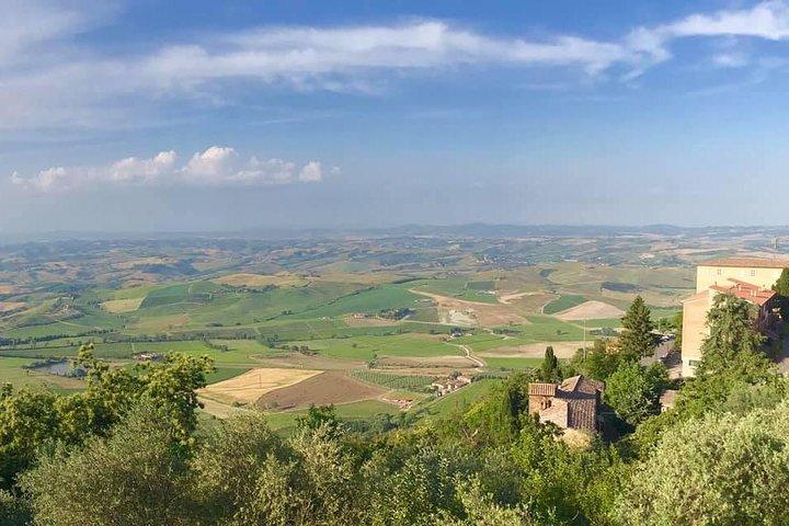 Small group Chianti-side wine tour with Mercedes V class Van
