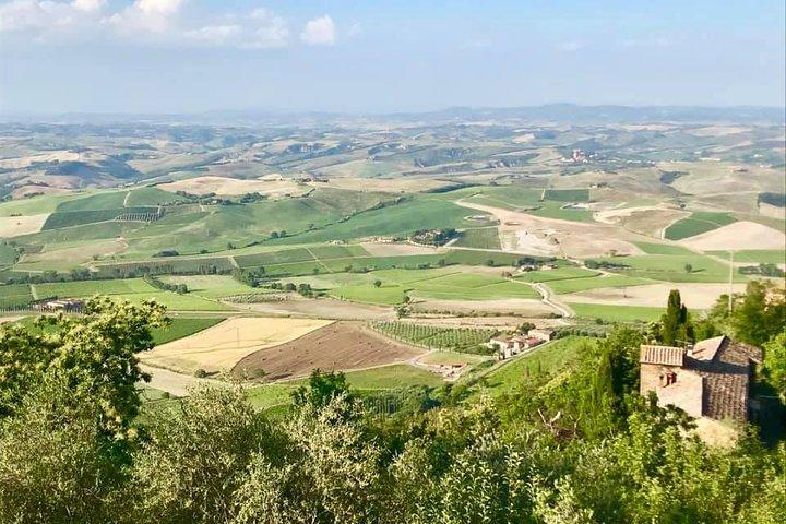 Small group Chianti-side wine tour with Mercedes V class Van