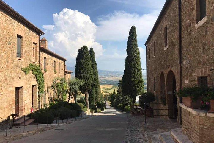 Small group Chianti-side wine tour with Mercedes V class Van