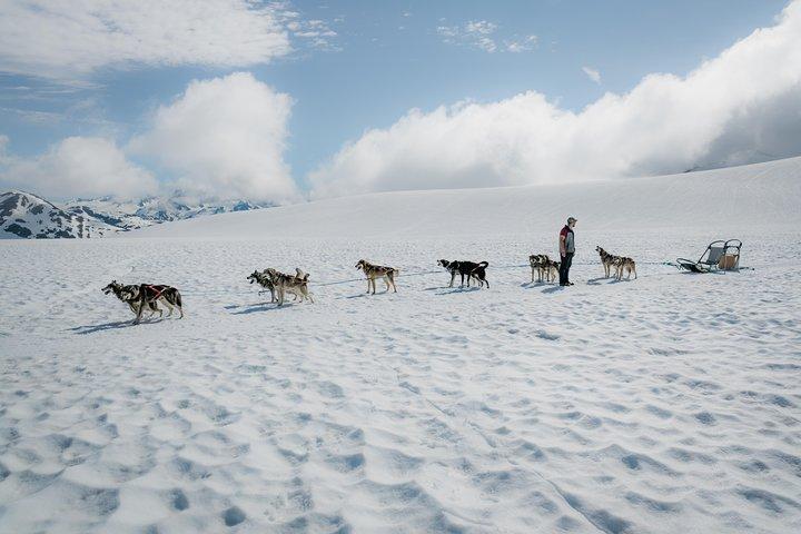 Helicopter Glacier & Dog Sledding Adventure Tour