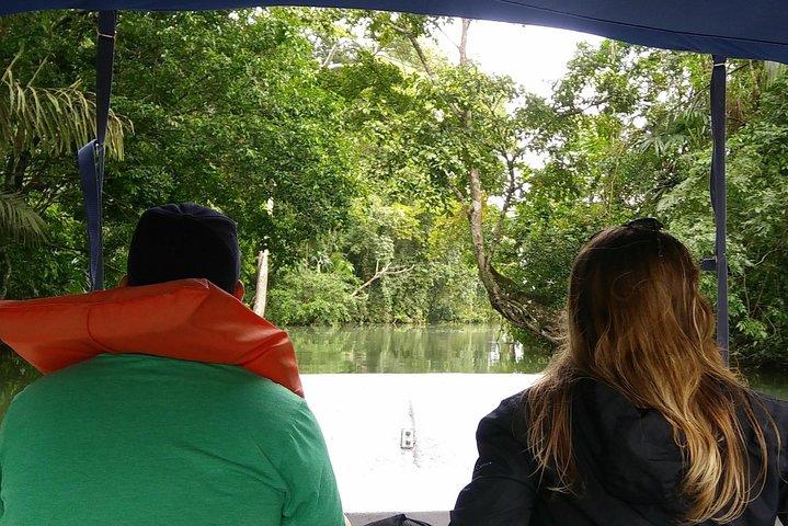 Boat tour in the Panama Canal to Monkeys and sloths islands