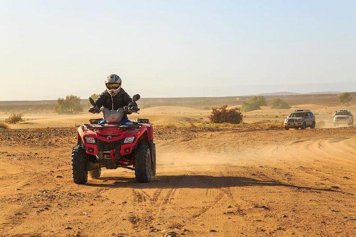Quad and Camel ride in the palmgrove of Marrakech