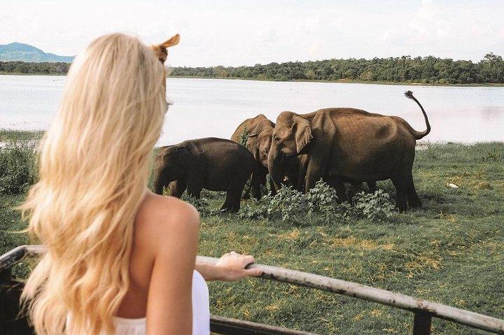 4 Days Essence Of Sri Lanka