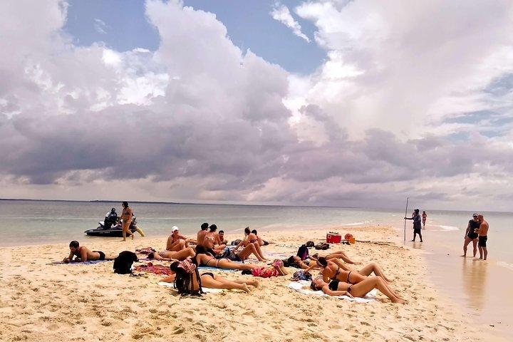 Sandbank Picnic and Dhow Sailing with Seafood Lunch