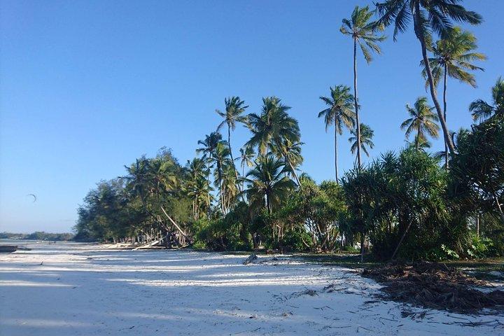 Sandbank Picnic and Dhow Sailing with Seafood Lunch
